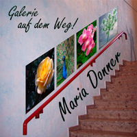 Auf dem Weg zur Ausstellung ist schon die Ausstellung Auf dem Weg zur Ausstellung ist schon die Ausstellung