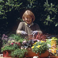 (c) Frux - Herbstzauber (c) Frux - Herbstzauber