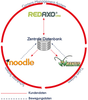 Schematische Darstellung der verwendeten IT-Systeme Schematische Darstellung der verwendeten IT-Systeme