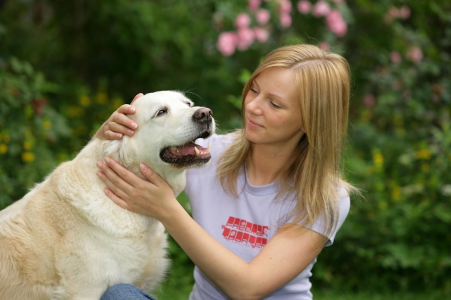 Welttierschutztag: Ehrentag für Hund, Katze und Co. Welttierschutztag: Ehrentag für Hund, Katze und Co.