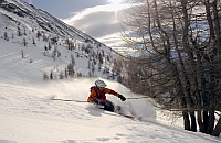 Skifahrer im Powder Skifahrer im Powder