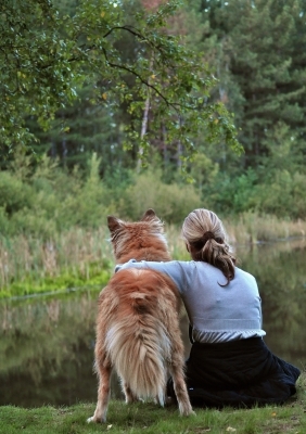 Die Hundeversicherung der IAK GmbH: Vielfältiger Schutz ab 35,90 Euro im Jahr