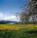 Landschaft in Bayern Landschaft in Bayern