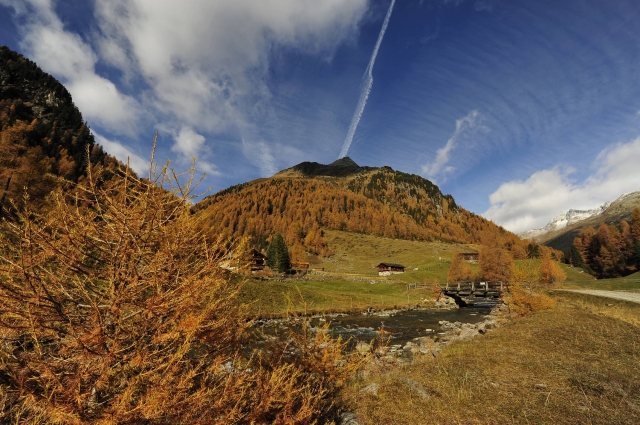 Lärchenwälder und Spezialitäten