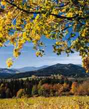 Bayerische Landschaft Bayerische Landschaft