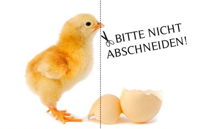 Aktion gegen das schmerzhafte Schnabelkürzen bei Legehennen