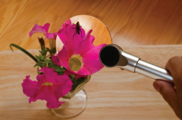 Franklin bringt Licht ins Detail