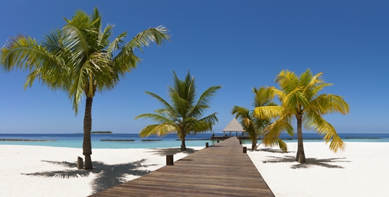 TravelScout24 kennt die Dauerbrenner der beliebtesten Reiseziele TravelScout24 kennt die Dauerbrenner der beliebtesten Reiseziele