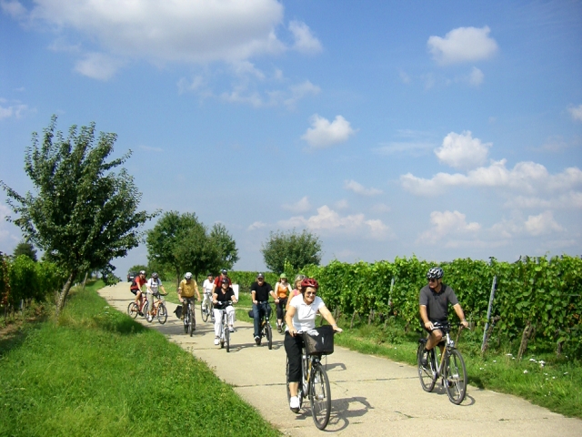 Weinlese  und Farbenrausch in der Pfalz - Genussradeln- und -wandern  für Kultur, Natur  und Weinlie