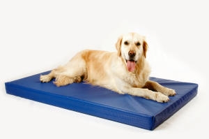 antiallergische Indoor-und Outdoor Hundematte