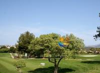 Golfen inmitten mediterraner Vegetation auf Mallorca
