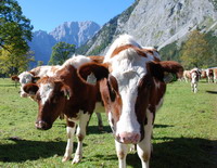 Oktober im Karwendel