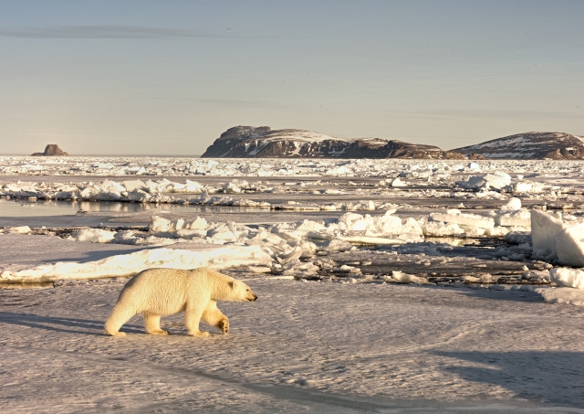 Polar-Kreuzfahrten: Spitzbergen-Expedition mit der MS Quest