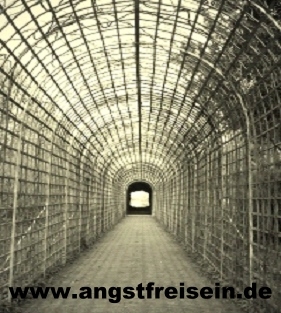 Angst, Phobien, Depressionen und geistigen Verwirrungenüberwinden, eBook