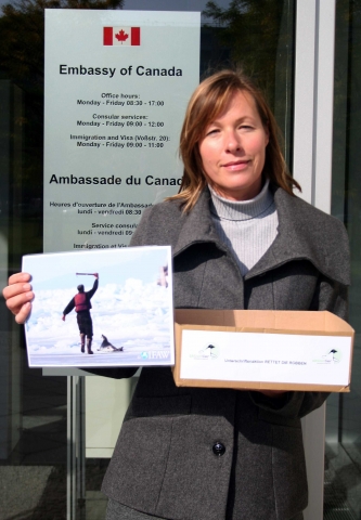 aktion tier kritisiert jährliche Massentötung von Robben in Kanada aktion tier kritisiert jährliche Massentötung von Robben in Kanada