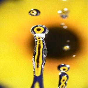 Neue Selbstanwendungen zur Selbsttherapie vom Steiner-Verlag: Optimale Lebensqualität durch Selbsthy Neue Selbstanwendungen zur Selbsttherapie vom Steiner-Verlag: Optimale Lebensqualität durch Selbsthy
