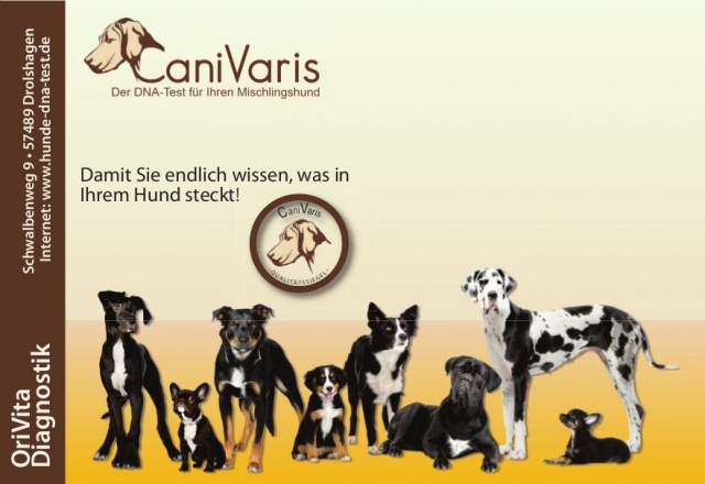 CaniVaris - CaniVaris -
