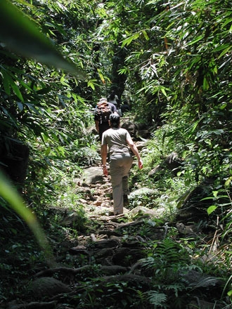 Die Trend-Destination Sri Lanka: Wandern und Wellness im Paradies Die Trend-Destination Sri Lanka: Wandern und Wellness im Paradies