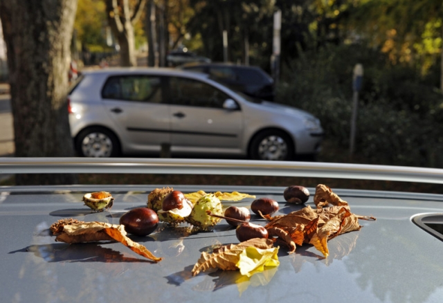Parken auf eigene Gefahr