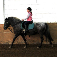 Konzentration bei Julia – sie reitet in der Prüfung Lehrpferd „Zottel“. Konzentration bei Julia – sie reitet in der Prüfung Lehrpferd „Zottel“.