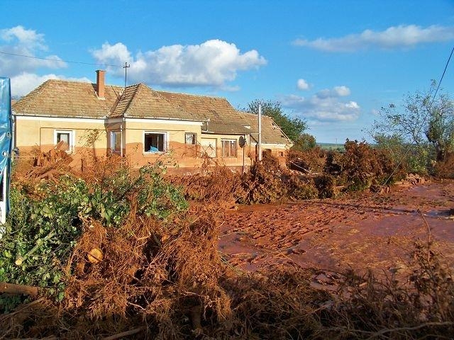Bund Deutscher Tierfreunde hilft nach Schlammlawine
