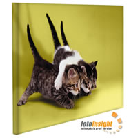 FotoLeinwand von FotoInsight FotoLeinwand von FotoInsight