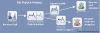 Die Psylock-Analyse in der Übersicht Die Psylock-Analyse in der Übersicht