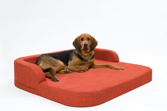 NEUE Loft Hundekissen-Hundebetten für den eleganten Hund NEUE Loft Hundekissen-Hundebetten für den eleganten Hund