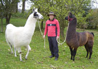 Frankenwald Tourismus - Meditatives Wandern mit den Lamas El Pinto und Carlos und Wanderführer Thoma Frankenwald Tourismus - Meditatives Wandern mit den Lamas El Pinto und Carlos und Wanderführer Thoma