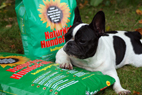 100% Qualität: NaturNah Futter für fitte Hunde! 100% Qualität: NaturNah Futter für fitte Hunde!