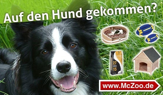 Der tut nix, der will nur spielen! Der tut nix, der will nur spielen!