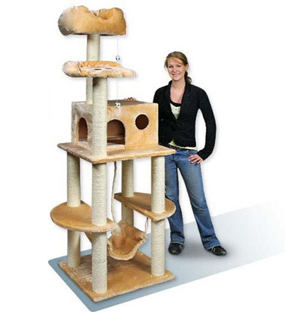 Kratzbaum statt Sessel, Sofa und Tapete!