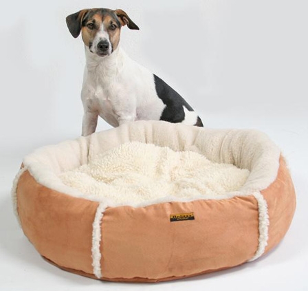 Wie man sich bettet, so liegt man: Hundebetten, Körbe und Liegeplätze