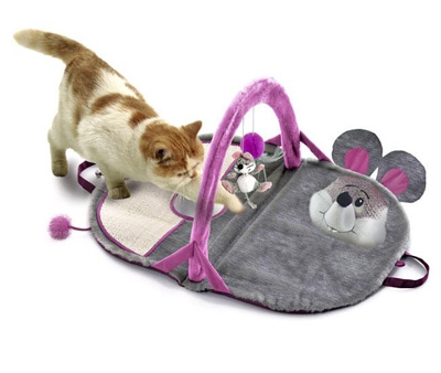Alles was Katzen Spaßmacht, fängt mit S an: Schmusen, schlafen, spielen!
