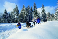 Wintererlebnisland für Familien