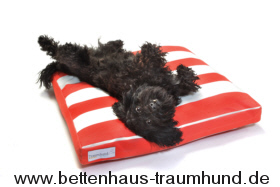 Gesunde Hundebetten von Traumhund