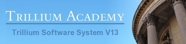 Trillium Software System Version 13: Eine Einführung Trillium Software System Version 13: Eine Einführung