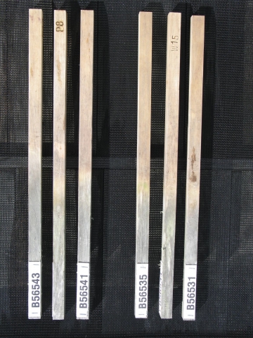 In einer neuen Studieübertrifft Accoya® Holz natürliches, beständiges Holz und andere behandelte Alt In einer neuen Studieübertrifft Accoya® Holz natürliches, beständiges Holz und andere behandelte Alt