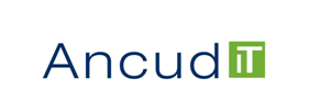 Die Ancud IT-Beratung aus Nürnberg