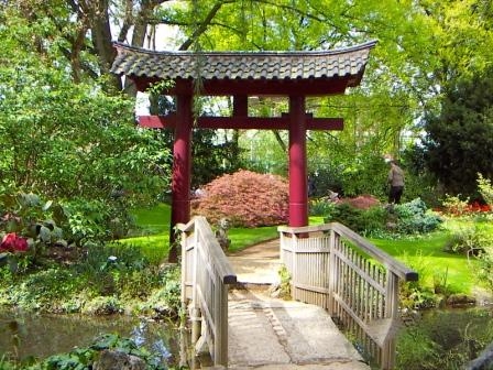 Gesundheit lässt sich managen - Stressabbau durch Zen-Meditation