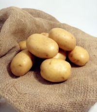 Kartoffeln_Jose Raul Perez Fotalia Kartoffeln_Jose Raul Perez Fotalia
