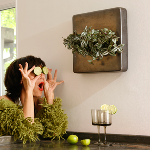 Hängende Minigärten mit echten Blumen von FlowerBox als echter Hingucker zu Weihnachten Hängende Minigärten mit echten Blumen von FlowerBox als echter Hingucker zu Weihnachten