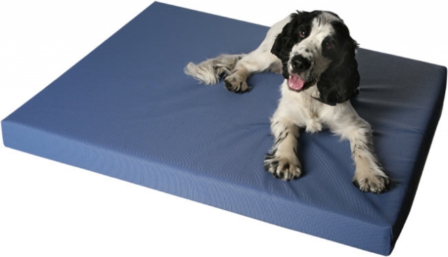 Antiallergische Hundematten im Hundeshop