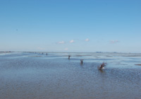 BU Gesund: Urlaub am Wattenmeer © Nordseeheilbad Cuxhaven GmbH BU Gesund: Urlaub am Wattenmeer © Nordseeheilbad Cuxhaven GmbH