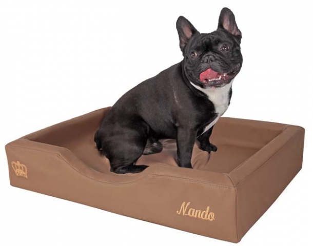 Viskoelastische Hundebetten für kleine Hunde Viskoelastische Hundebetten für kleine Hunde