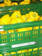 Behälterkennzeichnung mit RFID Inmould Label