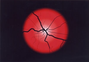 Scientific Award 2011 ausgeschrieben