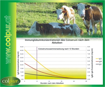 Colpur Colostrum, ist Vitalkraft für Schönheit, Jungendlichkeit, ein echter Beauty-Geheimtipp Colpur Colostrum, ist Vitalkraft für Schönheit, Jungendlichkeit, ein echter Beauty-Geheimtipp