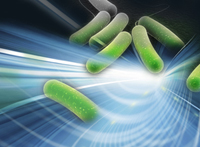ScanVIT-Legionella: Leistungsfähigster Nachweis von Legionellen ScanVIT-Legionella: Leistungsfähigster Nachweis von Legionellen
