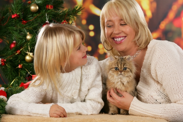 Weihnachten feiern mit Heimtieren - aber bitte artgerecht!